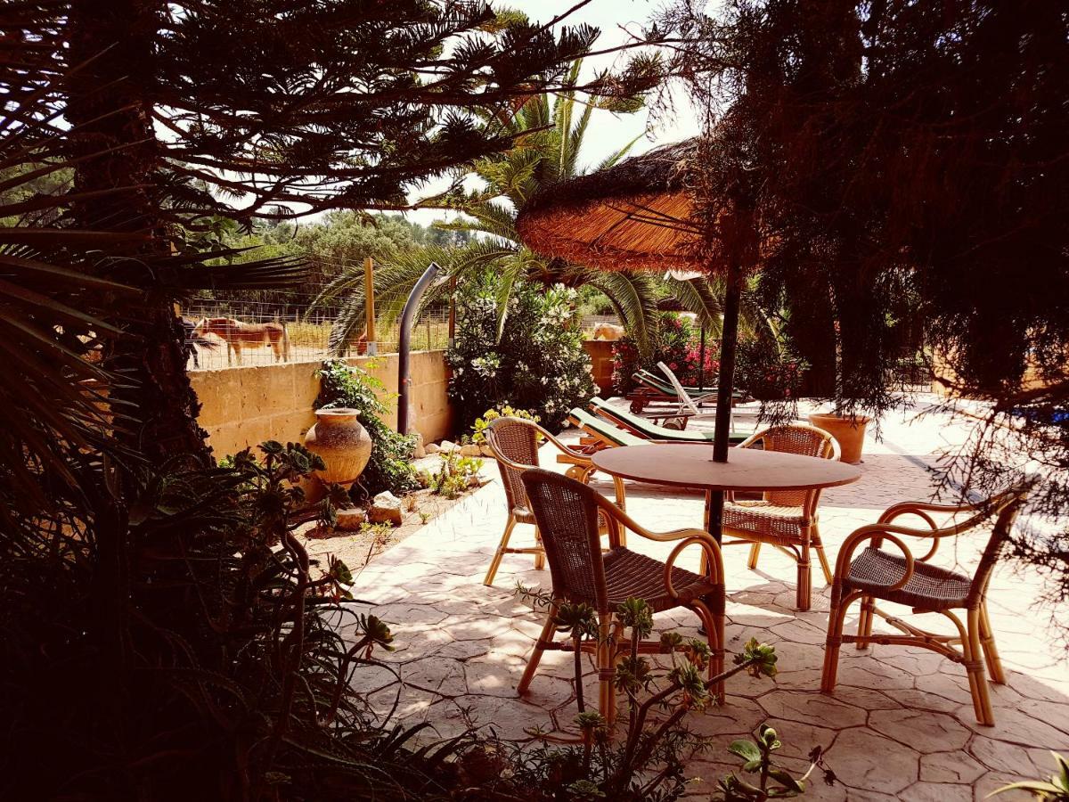 Hotel Finca Caballo Blanco Montuïri Exterior foto